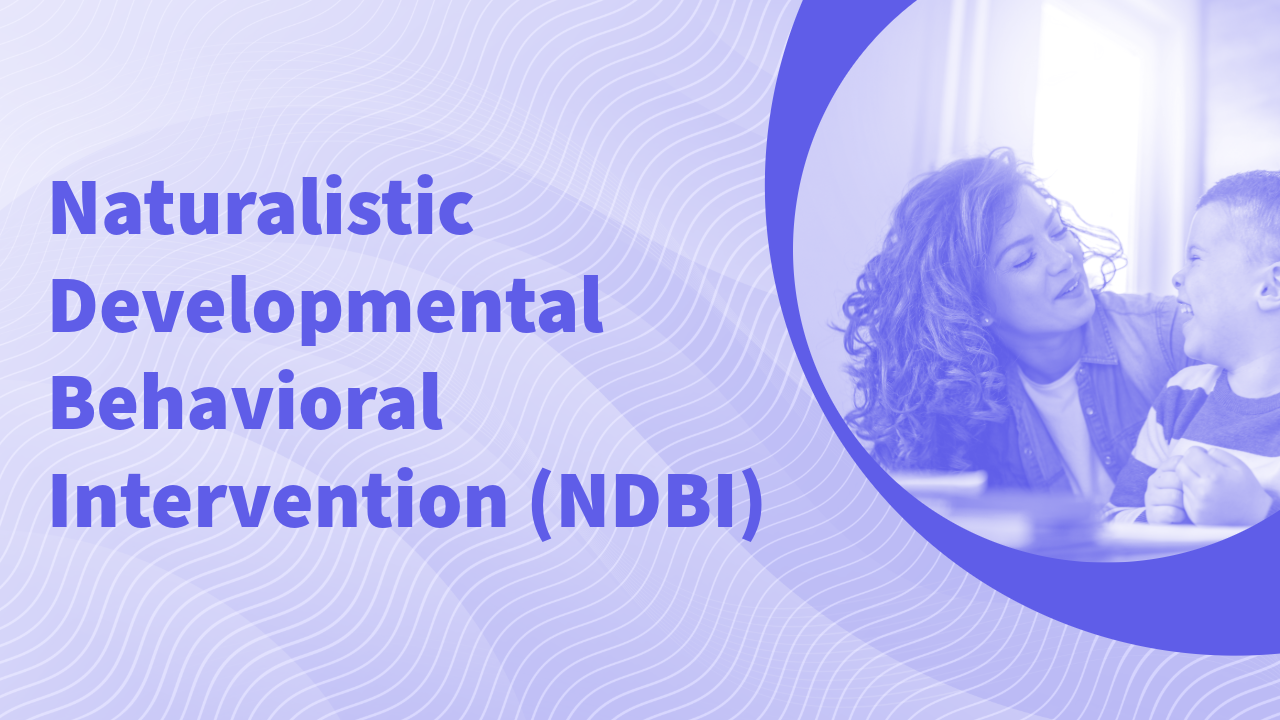 Naturalistic Developmental Behavioral Interventions for Autism Spectrum Disorder Training